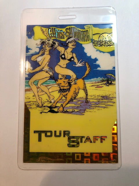 Aerosmith - Girls of Summer 2002 - Foil Backstage Pass