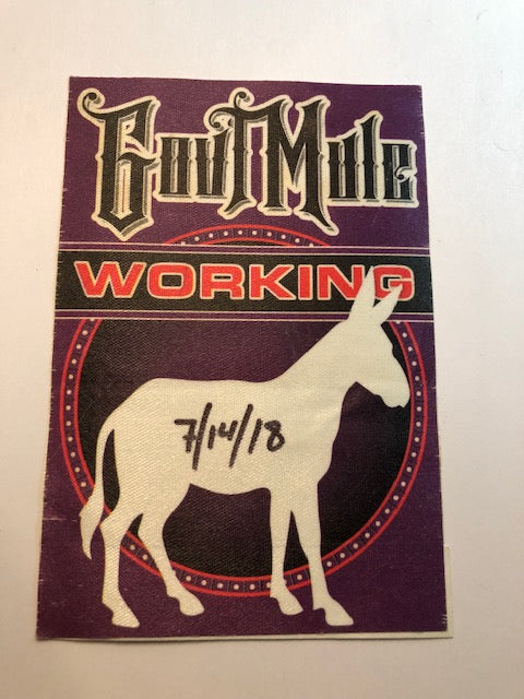 Gov't Mule - Backstage Pass