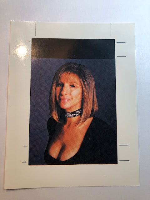 Barbara Streisand - The Concert Tour 1994 - Printers Proof Sheet - Backstage Pass